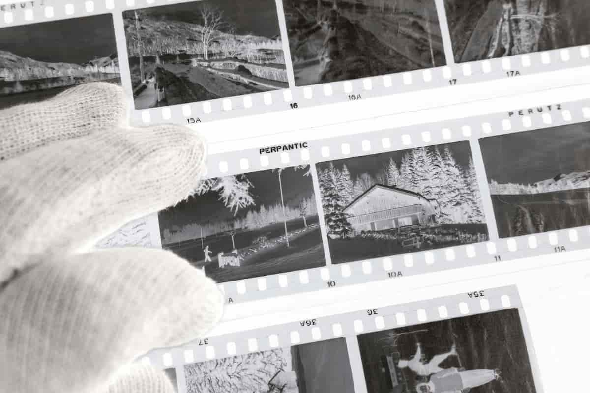 Black & White Film Comparison 2025: Complete Guide to B&W Films