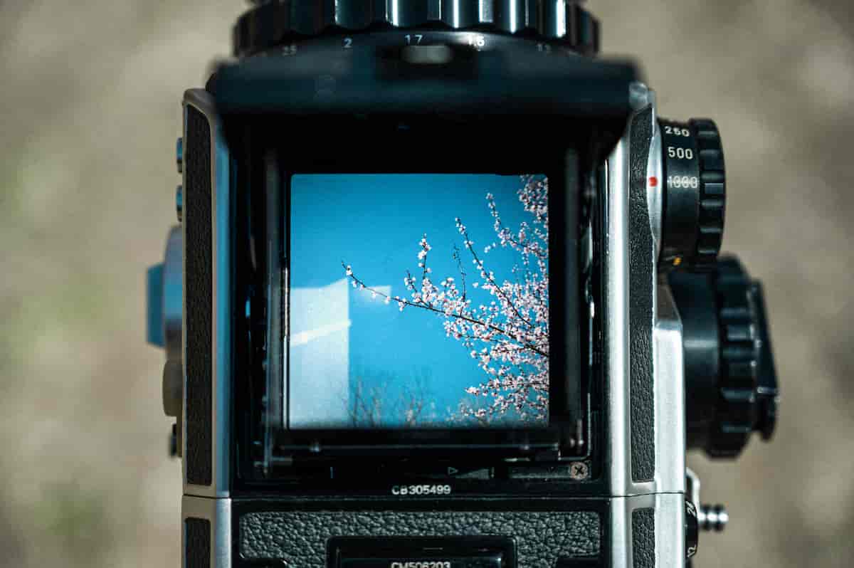 Best Medium Format Cameras 2025: Complete Buying Guide